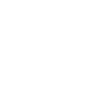 anycall
